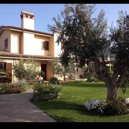 La Casa Al Lago Villa Trevignano Romano Exterior photo