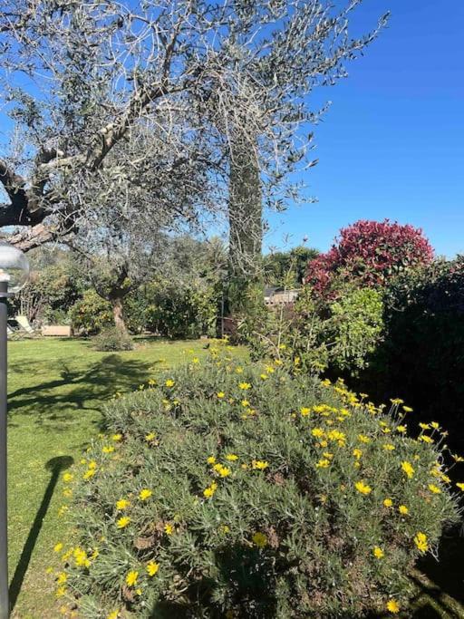 La Casa Al Lago Villa Trevignano Romano Exterior photo